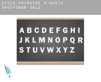 École primaire à  North Grosvenor Dale