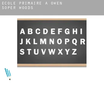 École primaire à  Owen Soper Woods