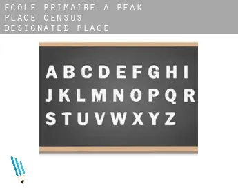 École primaire à  Peak Place