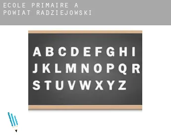 École primaire à  Powiat radziejowski