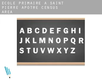École primaire à  Saint-Pierre-Apôtre (census area)