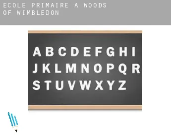 École primaire à  Woods of Wimbledon