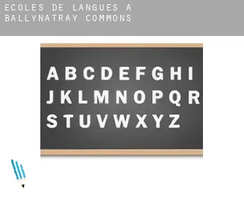 Écoles de langues à  Ballynatray Commons