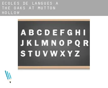 Écoles de langues à  The Oaks at Mutton Hollow