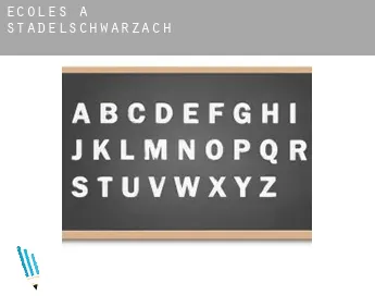 Écoles à  Stadelschwarzach