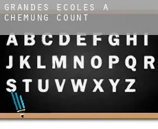 Grandes écoles à Chemung