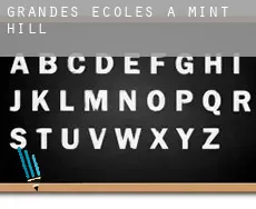 Grandes écoles à Mint Hill