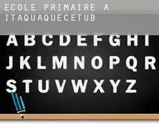 École primaire à Itaquaquecetuba