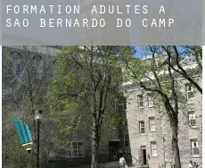 Formation adultes à  São Bernardo do Campo