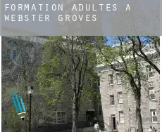 Formation adultes à Webster Groves