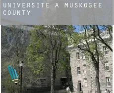 Universite à  Muskogee