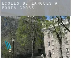 Écoles de langues à  Ponta Grossa