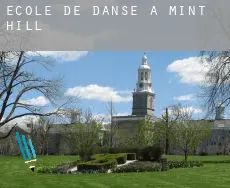 École de danse à Mint Hill