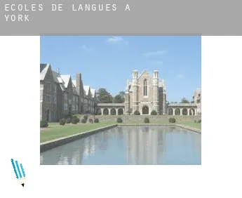 Écoles de langues à  York