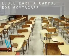 École d'art à Campos dos Goytacazes