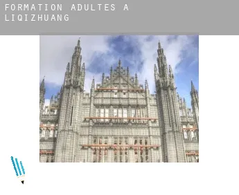 Formation adultes à  Liqizhuang