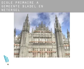 École primaire à  Gemeente Bladel en Netersel