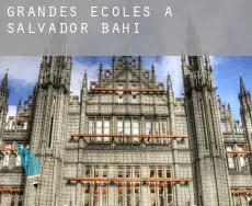 Grandes écoles à Salvador Bahia
