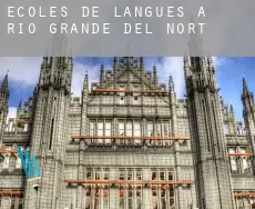 Écoles de langues à Rio Grande do Norte