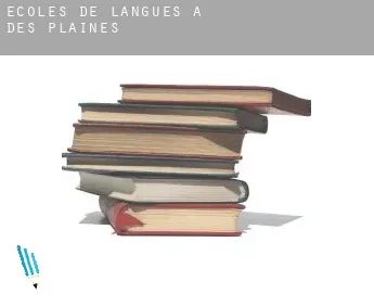 Écoles de langues à  Des Plaines