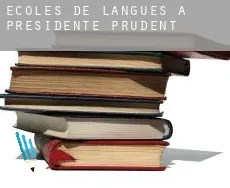 Écoles de langues à  Presidente Prudente