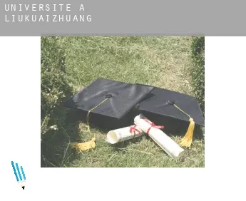 Universite à  Liukuaizhuang
