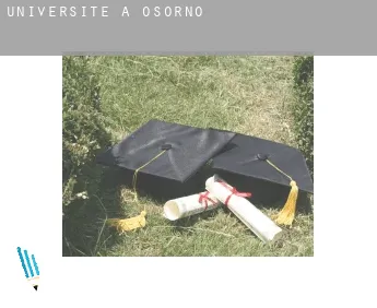 Universite à  Osorno
