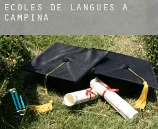 Écoles de langues à  Campinas