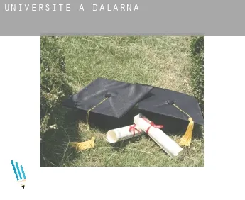 Universite à  Comté de Dalarna