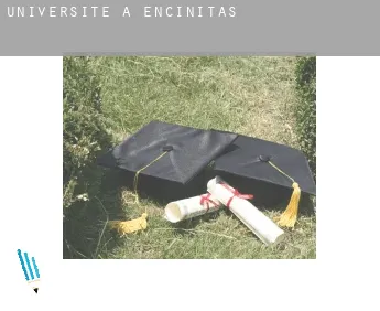 Universite à  Encinitas