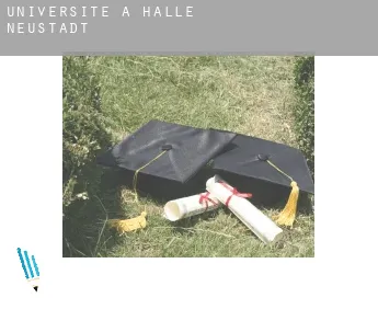 Universite à  Halle Neustadt