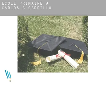 École primaire à  Carlos A. Carrillo