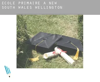École primaire à  Wellington (New South Wales)