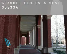 Grandes écoles à  West Odessa