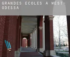 Grandes écoles à West Odessa