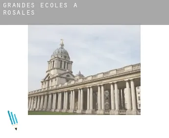 Grandes écoles à  Rosales