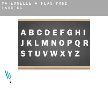 Maternelle à  Flag Pond Landing