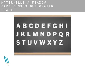 Maternelle à  Meadow Oaks