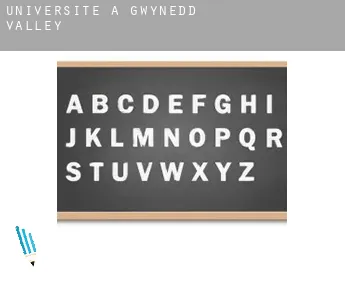 Universite à  Gwynedd Valley