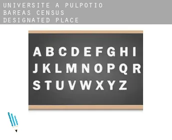 Universite à  Pulpotio Bareas