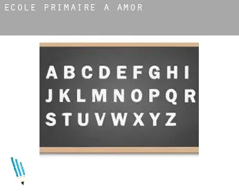École primaire à Amor