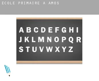 École primaire à Amos