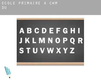 École primaire à Cwm-du
