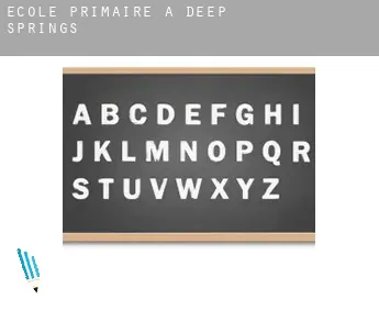École primaire à  Deep Springs