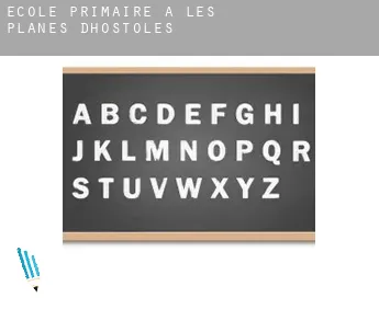 École primaire à les Planes d'Hostoles