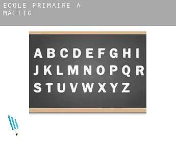 École primaire à  Maliig