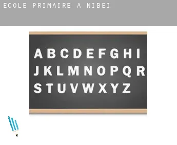 École primaire à  Nibei