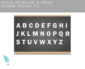 École primaire à  Saint-Pierre-Apôtre (census area)