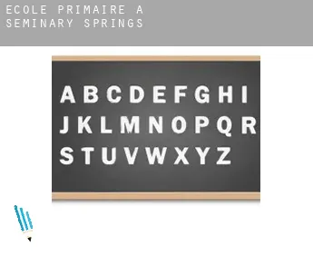 École primaire à Seminary Springs