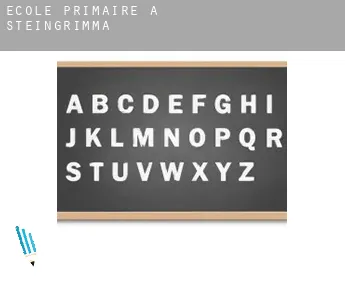 École primaire à  Steingrimma